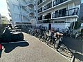 敷地内、駐車場...
