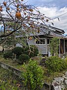 季節を感じられる庭あり。庭は大家さんが管理してくださいます。