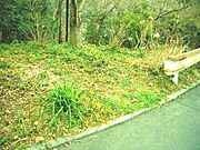 南側接面道路からです。幅員は約6．5mの公道です。日当たりも良いです。