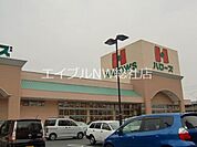 ハローズ 1143m