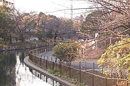 [周辺] 【公園】仙台堀川公園まで705ｍ