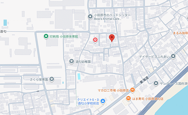 地図