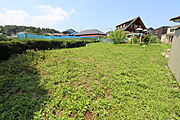 2019年7月撮影