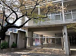 [周辺] 新宿区立西新宿中学校 徒歩16分。 1270m