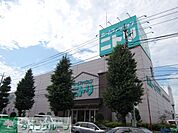 ニトリ府中店 徒歩12分。ホームセンター 960m