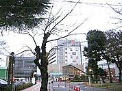 武蔵野赤十字病院 1300m