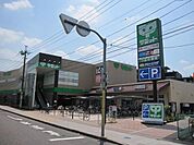サミット 1100m
