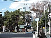 私立武蔵野大学 502m