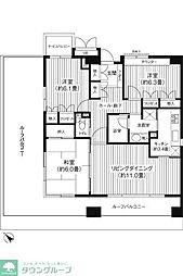 ステラメゾン武蔵小山 3LDKの間取図画像