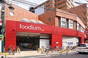 foodium 494m