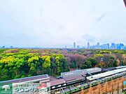 別部屋からの景色参考