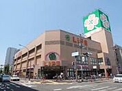 ライフ東中野店 494m