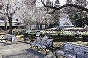荒川公園 徒歩8分。公園 590m