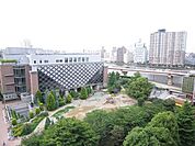 浜町公園 800m