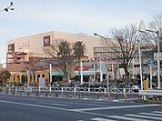 コルトンプラザ 1220m