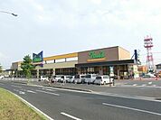 トウズ 1100m