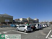 ブランニューモール 1800m