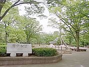 府中の森公園 625m