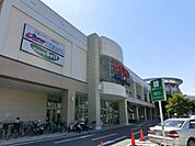 モラージュ柏 1800m
