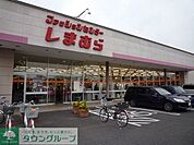 しまむら 600m