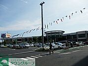 モラージュ柏 10m