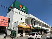 マルエツ上本郷店 210m