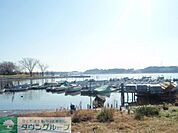 手賀沼公園 800m