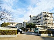 馬橋北小学校 50m