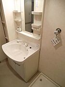 シャンプードレッサー