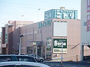 ニトリ 1566m