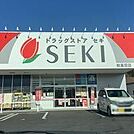 ドラッグストアセキ柏高田店 徒歩23分。 1820m
