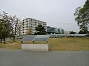 東京大学柏の葉キャンパス 1500m