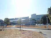 東京藝術大学 5600m