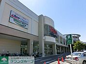 モラージュ柏 330m