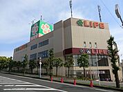 ライフ増尾店 566m