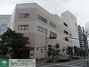 コモディイイダ仲町店 604m