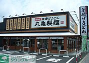 丸亀製麺 528m