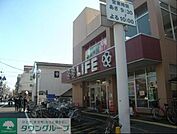 ライフ東向島店 644m
