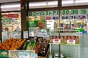 ローソンストア100江東大島六丁目団地店 徒歩11分。コンビニ 840m