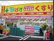 どらっぐぱぱす四つ木平和橋通り店 930m