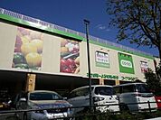 コープ花小金井店 280m