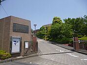 帝京大学 1200m
