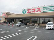 エコスTAIRAYA中神店 徒歩3分。スーパー 190m