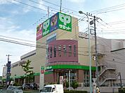 サミット 178m
