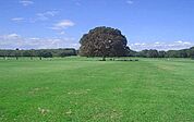 国営昭和記念公園 948m
