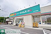 ドラッグセイムス小平天神店 徒歩11分。ドラックストア 810m