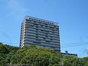 明星大学 1600m