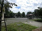保第2公園 20m