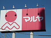マルヤ 450m