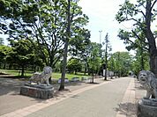 早稲田公園 500m